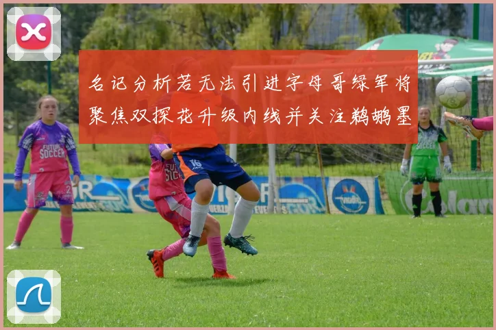 名记分析若无法引进字母哥绿军将聚焦双探花升级内线并关注鹈鹕墨菲