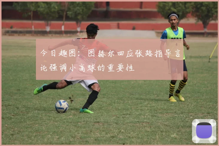 今日趣图：图赫尔回应张路指导言论强调小高球的重要性